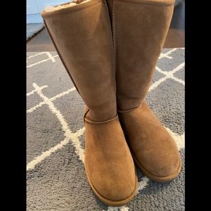 Classics Tall UGG boots in chestnut